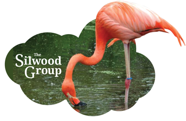 The Silwood Group